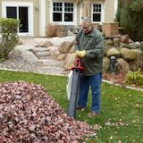 Ultra Leaf Blower Vac (51619)