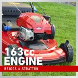 Briggs & Stratton 163cc Engine