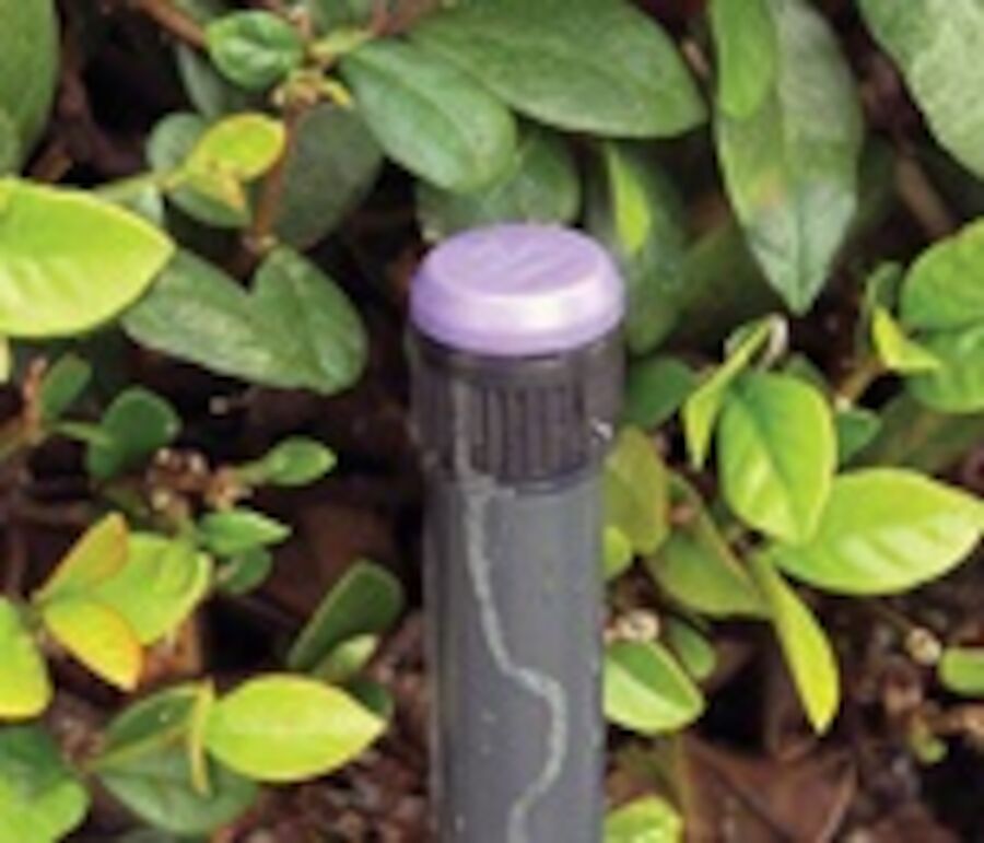 Pressure-Compensating Drip Bubblers