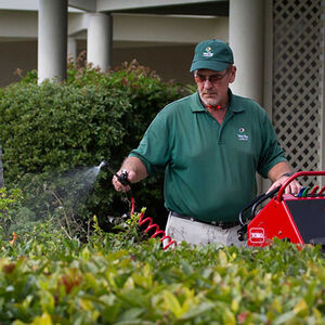 Hand-held Spray Wand