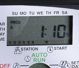 Monthly Watering Schedule