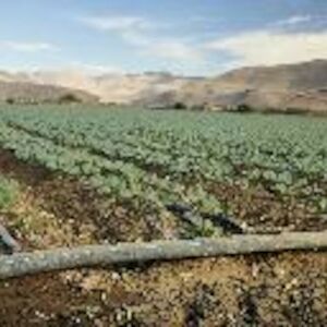 greater_filtration_area